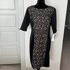 Sandra Darren blk blk lace w nude shift dress 12
